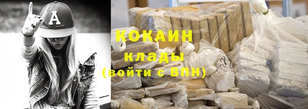 apvp Алзамай