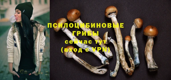 шишки Алексин