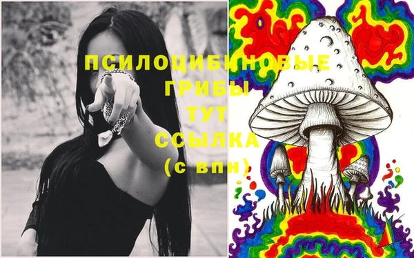 шишки Алексин